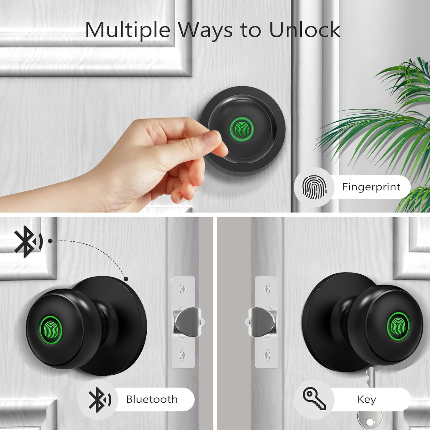 LockMate™ Fingerprint Knob