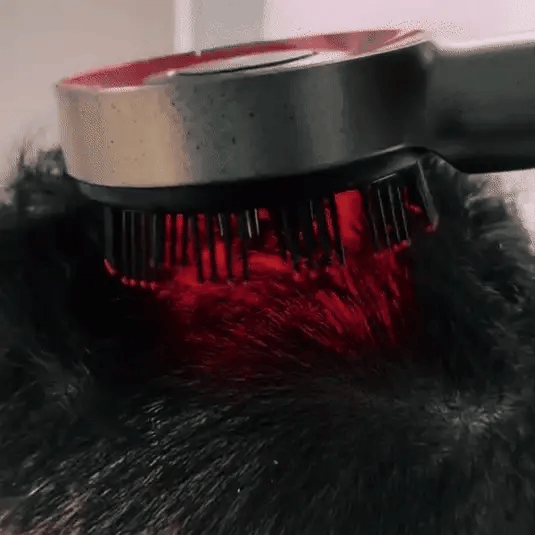 HairGlow™ Blissful Scalp Comb